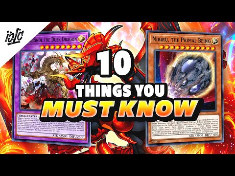 10 Interactions You MUST Know in Branded Despia!