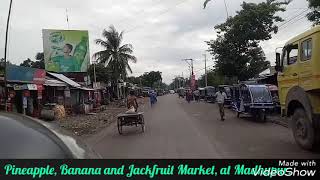 preview picture of video 'মধুপুর, টাঙ্গাইল,  আনারসের বাজার।'