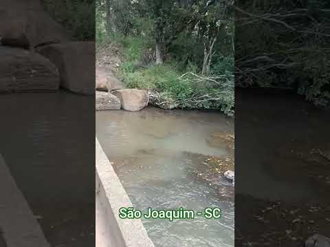 São Joaquim - SC