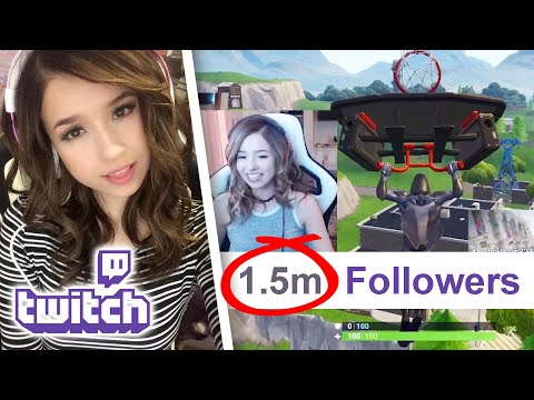 Making A Living Playing Video Games (feat. Pokimane)