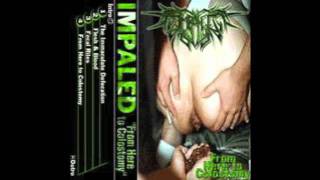 Impaled - From Here To Colostomy