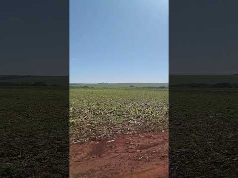 11/11/25, Naviraí, MS.#turismo #viagem #matogrossodosul #naviraí