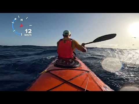 Test Downwind nueva Carbonology Cruze RT