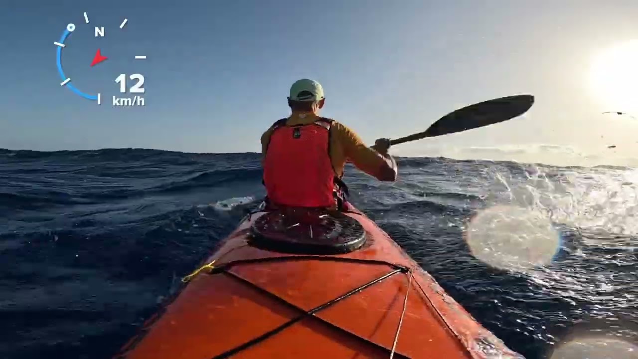 Test Downwind nueva Carbonology Cruze RT