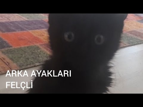 ÇOK ZOR DURUMDAYDI KEŞKE DAHA ERKEN GÖRSEYDİK