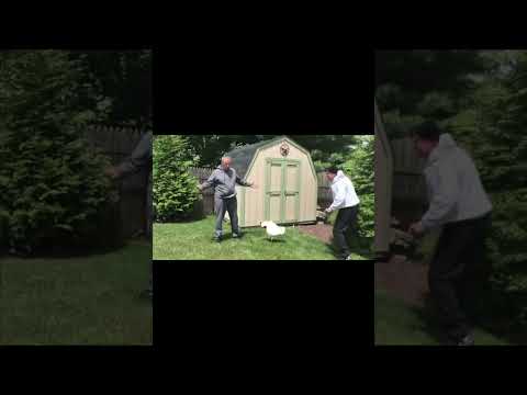 Mickey and Rocky need SPEED!!