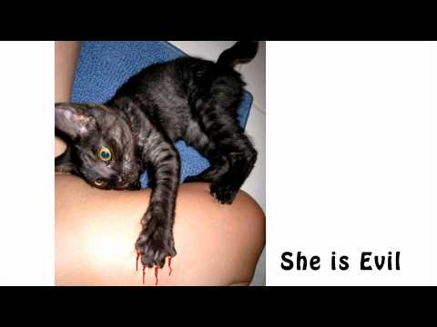 Everybody wants to be a cat like Mona Lisa