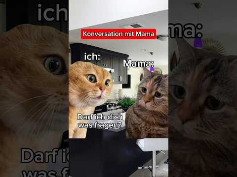 🙈Das wollte ich meine Mama immer schon fragen😅 #katzen #katzenvideos #fragen #lustig #catmemes