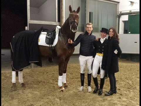 FIDERDANCE & Kira Wulferding - Hengstschau Münster-Handorf 2017