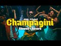 Champagini Slowed Reverb Asal Kolaar