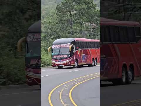 transporte Lila marcala la Paz honduras 🇭🇳 ♥️
