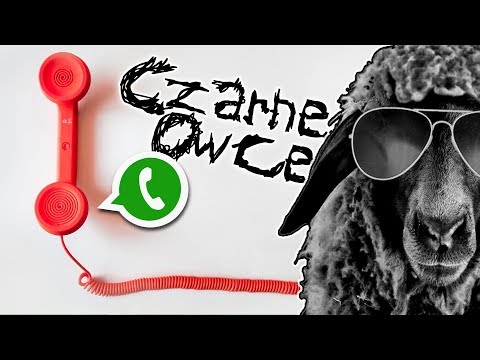 Żona kompletny mały kutas Które są najmniejszymi członkowie zostali