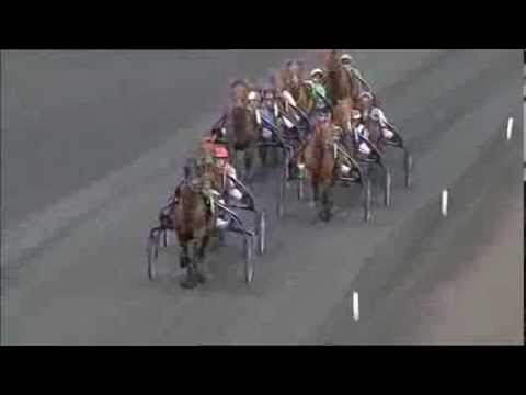 Prix Louis Jariel 2010 -Real de Lou