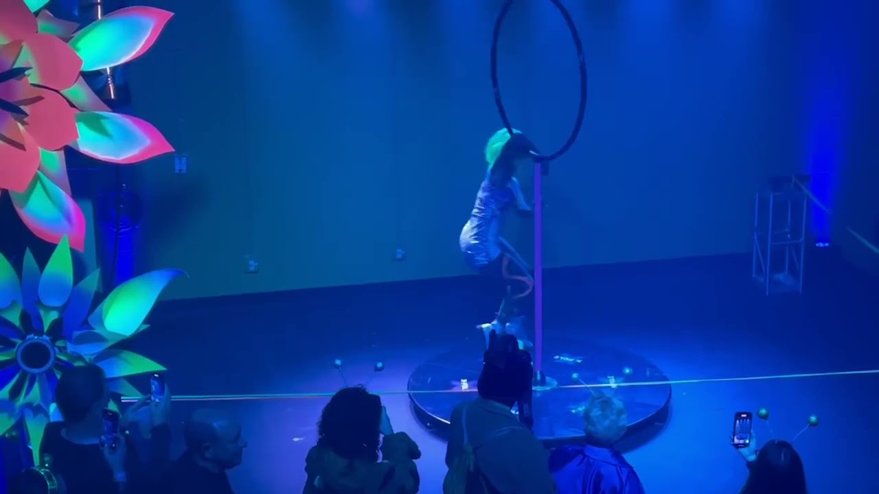 Promotional video thumbnail 5 for Dominique's Dance and Aerial Arts