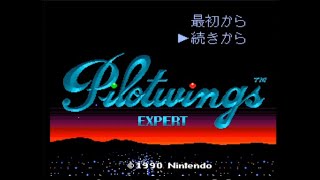 【実況】パイロットウィングスやる。後編。最後にNG集もあるよ。