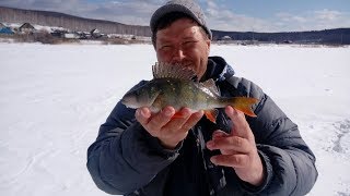 Ловля леща на поликарповском пруду миасс