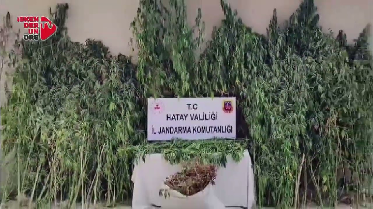 Jandarma’dan Samandağ’da Zehir Tacirlerine Darbe!