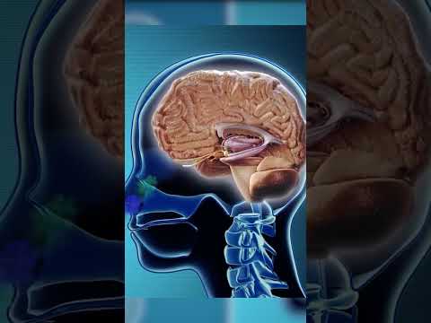 Is it possible to OVERCOME ANXIETY without MEDICATION?