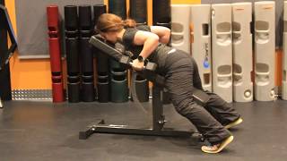 Dumbbell- Chest Supported Row