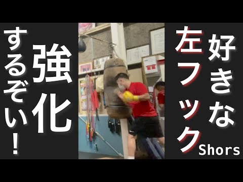 【サンドバッグ打ち】左フックのみ鍛える/Heavy bag