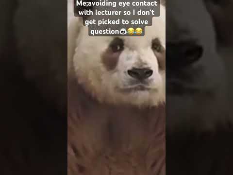 #funny #animal #panda 🐼😂😂😂