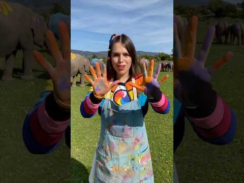 פילים בכל הצבעים #thankyou #magic #foryou #like #fun