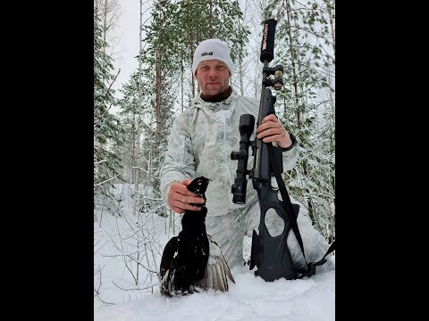 Latvalinnustus Pohjois-Karjalassa Tammikuu 2023