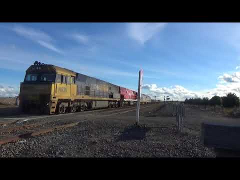 a very rare 4PM4 at Gheringhap Loop with NR78, NR75 Ghan, BL26 and 8153