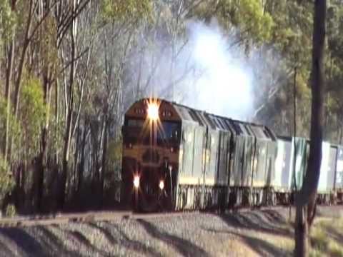 Quad G Class at Seymour