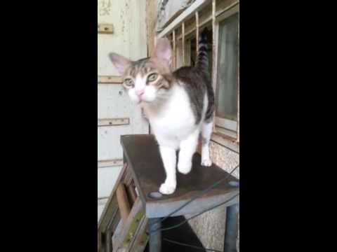 Charmy being charming July 6, 2015