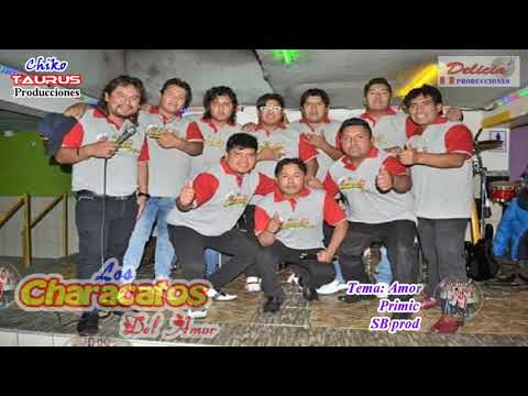 LOS CHARACATOS DEL AMOR - AMOR EQUIVOCADO (AUDIO OFICIAL) PRIMICIA 2019 ***SB PRODUCCIONES***