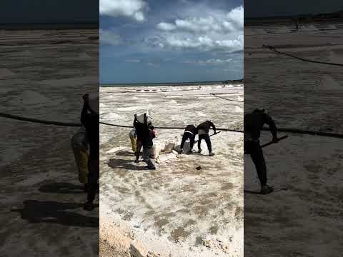 Caribbean sun meets desert wind: Colombias white gold!🧂✨(Colombia, Salinas de Manaure)