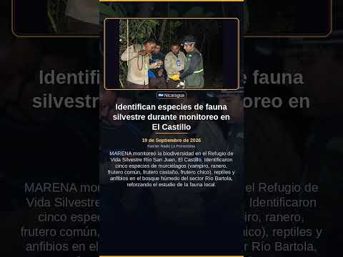 Identifican especies de fauna silvestre durante monitoreo en El Castillo