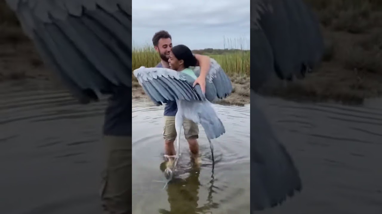 Love at first beak Thumbnail