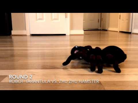 Robot Tarantula Vs. Zhu Zhu Hamster 5: The Final Battle