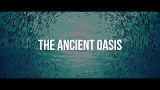 THE ANCIENT OASIS  TUE  WED OCT 30  31
