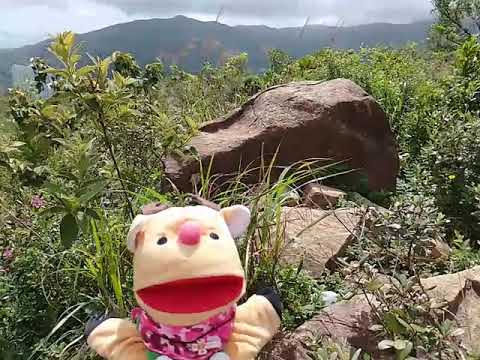 The summit of Fu Yung Shan