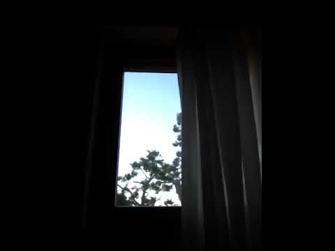 Emilio Cecchi, da: Messico " Sulla bianchezza dei muri e del polverone " Voce: Sergio Carlacchiani