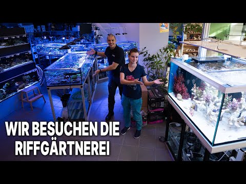 Wir schauen uns Noras Riffgärtnerei in München an! - Was gibt es zu entdecken?