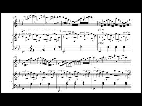 Herman Beeftink "Storm" SHEET MUSIC (Flute and Piano)