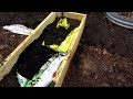 How to Fill & Layer a No-Dig Raised Bed: Understanding Bagged Compost & Manures - They Vary Greatly
