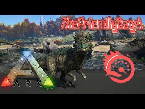 Ark Max Speed! | Pachy