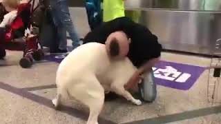 la-sua-cagnolina-torna-viva-l-abbraccio-del-cuoco-irpino