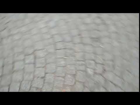 Ah zut - 8 décembre 2018