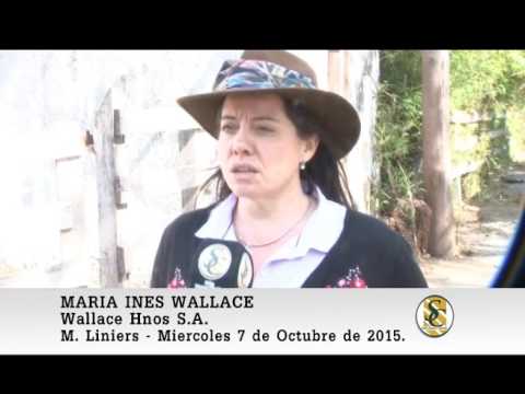 07-10-15 Nota Ines Wallace - Remate 34º Aniversario - Wallace Hnos S.A. Mercado de Liniers.
