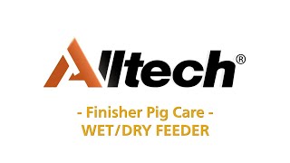 Wet Dry Feeder-Finisher Pig Care