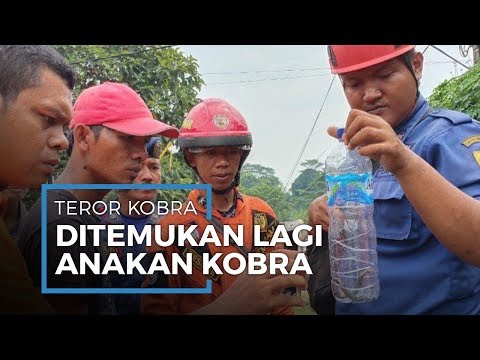 download lagu mp3 mp4 Citayam Village, download lagu Citayam Village gratis, unduh video klip Citayam Village