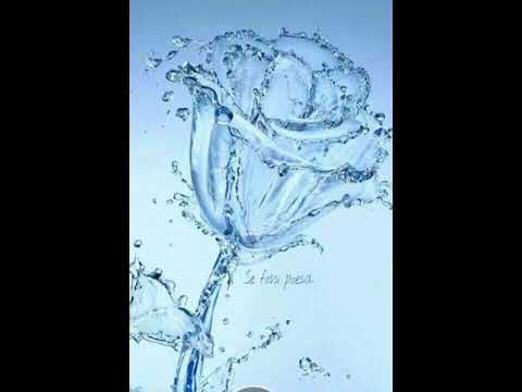 Mandi Nishtulla ft Murat Nazifi (2018)