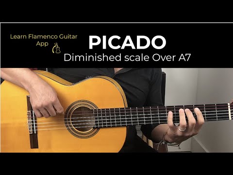 PICADO SCALE PATTERN- A7