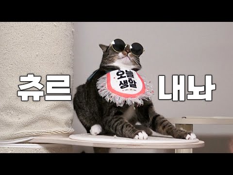 상처만 남은 수제츄르 제작기..